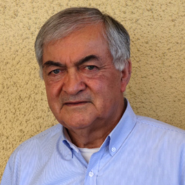 VÍCTOR MENESES P.